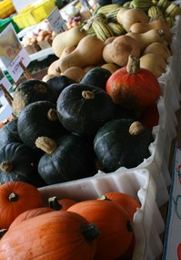 fall squash webster.jpg